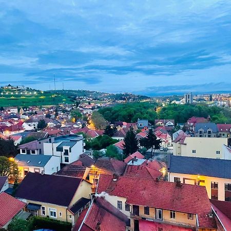 Popa Angela Apartment Oradea Exterior photo