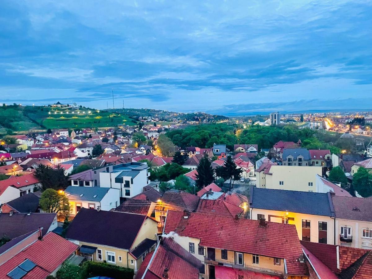 Popa Angela Apartment Oradea Exterior photo